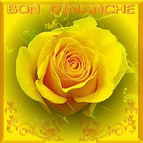 BON DIMANCHE